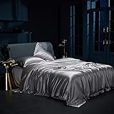 YOUR MOON 25 Momme Mulberry Silk Duvet Cover Queen Size, 3 PCS Set Top Grade Luxury Mulberry Silk Duvet Cover with Buttons Closure —1 Duvet Cover and 2 Pillow Shams (Starry Gray)