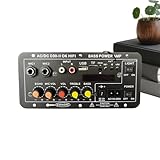 Verstärkerplatte, kabelloses Stereo-Display mit Kartensteckplatz, MP3-Audio-Dekodierplatte, für Männer und Frauen, Audio, Karaoke, Reisen, Meetings, Aktivitäten im Freien