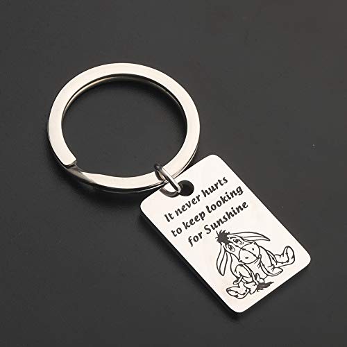 It Never Hurts to Keep Looking for Sunshine Bracelet Donkey Quote Bracelet Inspiration Gift (Keychain)