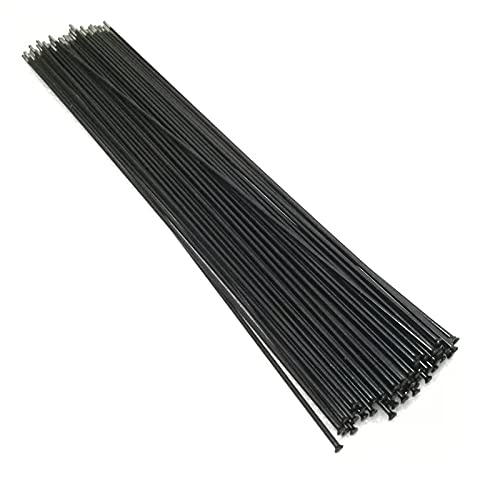Raggi Bicicletta 100 pz/Lotto 14G Raggi Bicicletta Bicicletta Straight Tiro Raggio 218 225 238 243 249 255 260 268 278 282 286 291 292 303 mm Raggi per Bicicletta (Color : 258mm)