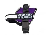 Doggie Stylz Service Dog in Training Vest with Hook and Loop Straps and Handle – Harness Comes in Si