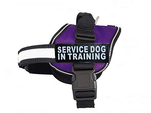 Doggie Stylz Service Dog In Training Vest With Hook And Loop Straps And Handle – Harness Comes In Sizes Xxs To Xxl – Three Colors – Dog Harness Features 2 Reflective Patches (Girth 12”- 16" Purple) #TOP14