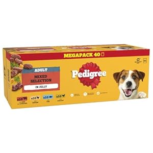 PEDIGREE Adult Dog Food Pouches Mixed Selection in Jelly 40 x 100 g Mega Pack