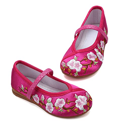 Encanto Costume Shoes for Girls Mary-Jane Flats Shoes Round Toe Ballet Flats Floral Embroidery Shoes with Pumps Comfortable Low Wedge Rose 7