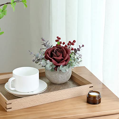 Rosscer Artificial Flowers Kit With Pot, Combination Of Fake Silk Burgundy Red Roses And Greenery,Small Plant Potted Decor For Offices,Bookshelf,Bedroom, Living Room,Party,Wedding Decorations… #TOP6