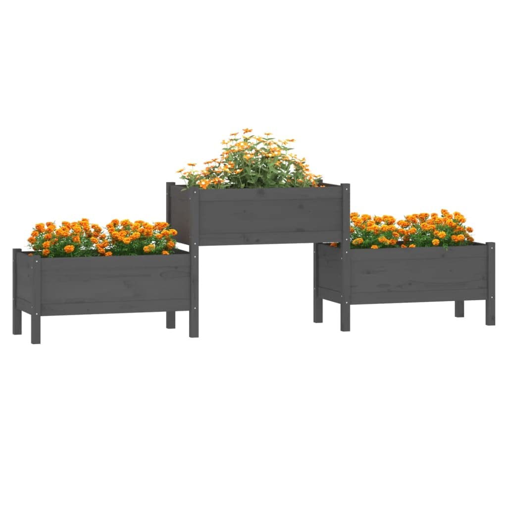 Hochbeet Balkon 245,5 x 44 x 75 cm aus massivem Kiefernholz, Grauer Pflanzkübel mit 3 Etagen für Gemüse und Kräuter, platzsparendes Gartenregal für Terrasse und Wohnzimmer