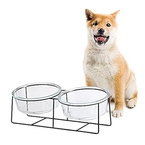 Hundenapf Katzennapf – Futternapf Hund Katze – Futterstation Hund Katzen Erhöht mit Ständer – Doppel Fressnapf Wasser Futter Napf Glas für Große Katzen und Mittelgroße Hunde – 850 ml × 2