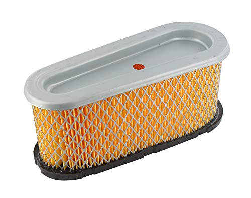 GREENSTAR - Filtre à Air - Pour Briggs & Stratton Séries 282700, 283700 & 286700 (12 à 15 ch. verticaux) - Remplace Origine 004139, 493909, 496894, 496894S - L. 184...