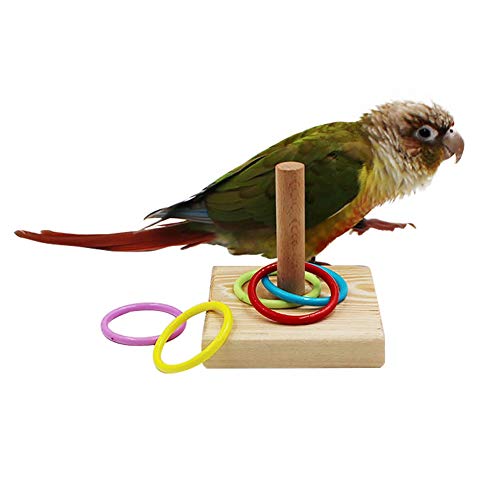 QBLEEV Bird Training Ring Toy, Parrot Trick Tabletop Toys, Bird Educational Toys, Stacking Color Rings,Bird Cage Toys - Thumbnail 2