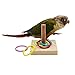 QBLEEV Bird Training Ring Toy, Parrot Trick Tabletop Toys, Educational Stacking Color Rings, Cage Toys