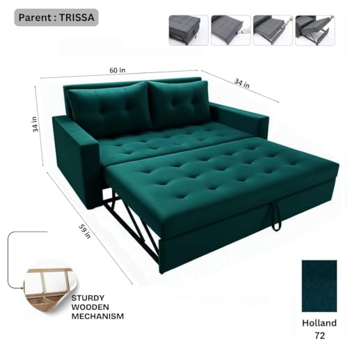 Image of FURNY Trissa 2 Seater Fabric Pull-Out Sofa Cum Bed Velvet Fabric Tealish Green | Modern Design | Living Room Furniture | Modern Stylish Sofa for Home