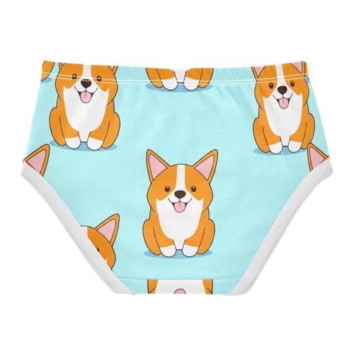 Pattern Girls Underwear Toddler 2t Cotton Girl Panties Cute Cute Cartoon Corgi Dogs Light Blue Briefs Kids Undies2
