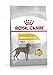 Produktbild ROYAL CANIN CCN Dermacomfort Maxi - Dry Dog Food 12 kg