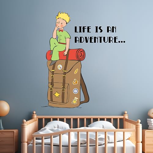 Vinilo decorativo The Little Prince 76.2x88.9 cm