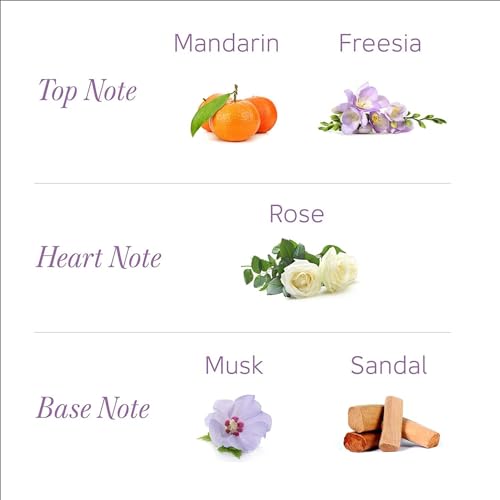 Yardley Perfumed Talcum Powder with Refreshing Floral Fragrances | Morning Dew, 100g x 2 - Image 6