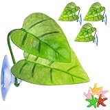 betta leaf hammock review