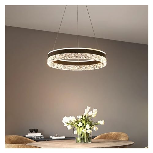 Lampe Suspendue Circulaire LED Dimmable pour Sublimer Votre Salon - 2