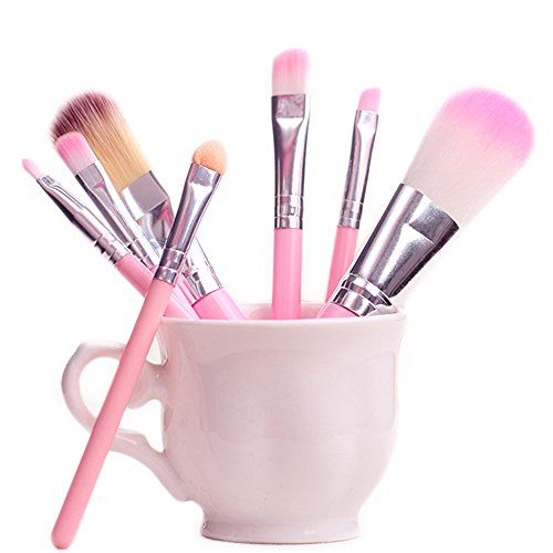 Fani Makeup Brushes 7 Pieces Travel Makeup Brushes Set with Box Professional Foundation Cosmetic Brushes Eyeshadw Brush Lip Brush for Powder Liquid Cream Blending