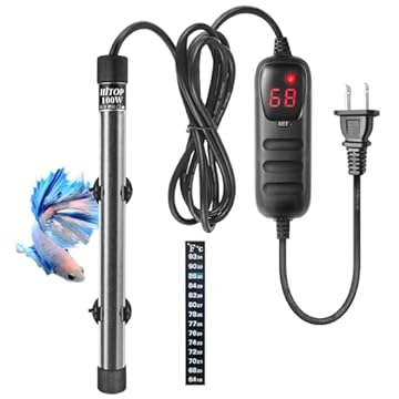 Best Aquarium Heater For Turtles