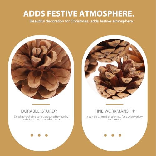 Pommes de pin naturelles durables de qualité pour décor de Noël - 6