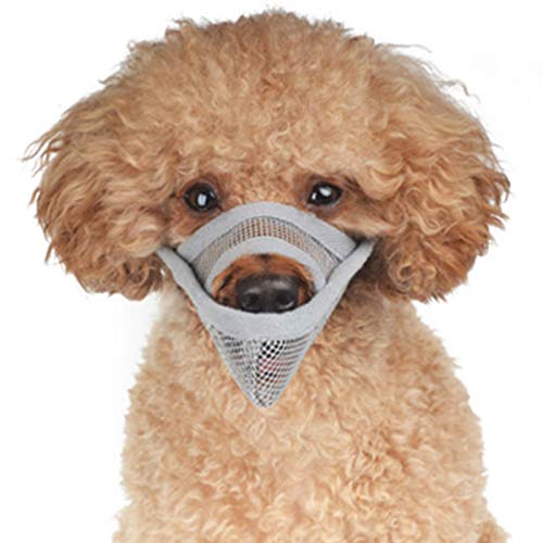 Alfie Pet - Lance Adjustable Quick Fit Nylon Muzzle - Color: Grey, Size: