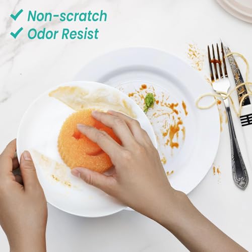 Image of Scrub Sponge Dish Scrubbers, Temperature Controlled Non-Scratch Sponges Pad