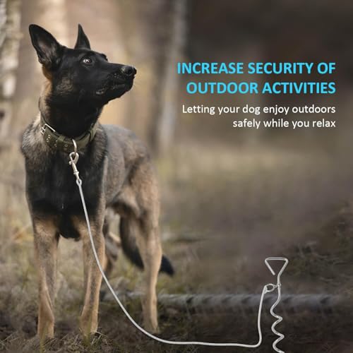 WePet Hundepflock, langlebiger silberner Spiralanker, sichere Outdoor-Befestigung für alle Leinen und Ketten, geeignet für Camping und Garten, rostfrei, einfache Installation, Größe M (42cm)