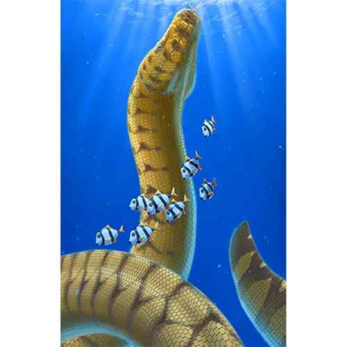 Palaeophis, the Ancient Snake