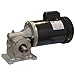 AC Gearmotor,30 RPM,TEFC,115/208-230V