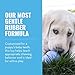 KONG Puppy - Natural Teething Rubber Chew Toy for Dogs - Stuffable Dog Toy for Extended Playtime - Chew & Fetch Toy for Puppies - for Medium Puppies - Blue