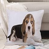  Federe per Cuscini, Cuscini Divano Fodera,Cucciolo di pedigree Beagle Doggy domestico Adorabili animali Fau,Per Cuscino Federa per Divano Casa Soggiorno Camera da Letto Decorazione per Interni 45x45cm