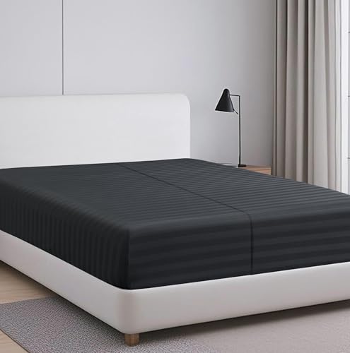 2-Pack 100% Egyptian Cotton Fitted Sheet Twin XL, 600 TC