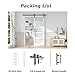 Fredbeck 32in x 84in White Glass Barn Door with 5.5FT 66inch Sliding Doors Hardware Kit Included & Handle,PVC Surface,Need to Assembly,Water-Proof