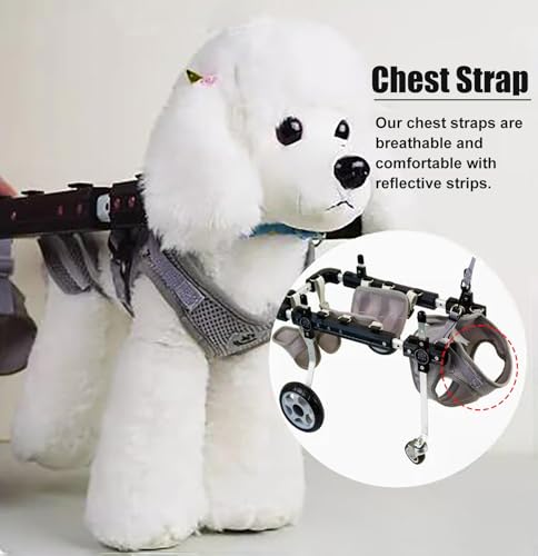 Silla de ruedas ajustable para perros con arnés de soporte abdominal y de cadera 5