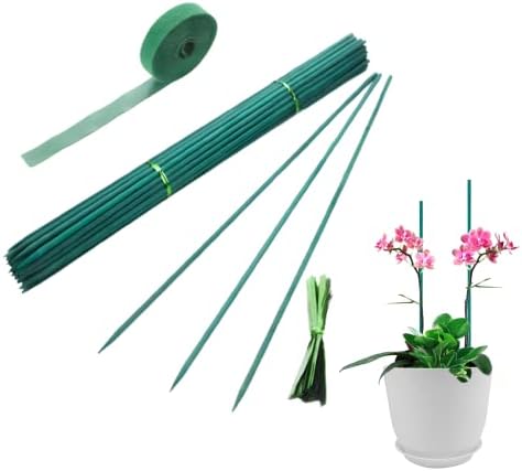 Qefuna 30Pcs 16 Inch Garden Stakes Green Bamboo Sticks Decorative Garden Wood Stakes for Plants, Wooden Plant Support Sticks, Small Stakes for Garden with Garden Ties and Nylon Plant Tie Strap
