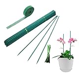 Qefuna 30Pcs 16 Inch Garden Stakes Green Bamboo Sticks Decorative Garden Wood Stakes for Plants, Woo