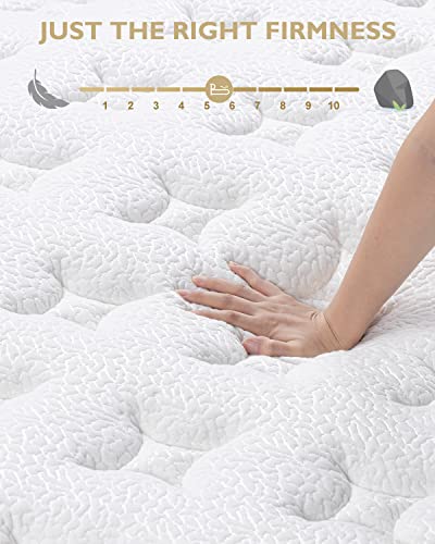 Bedstory King Mattress - Made In Usa - 12 Inch Hybrid Mattress Medium Firm, Individually Wrapped Coils For Pressure Relief & Motion Isolation, 80”X76”X12” #TOP3
