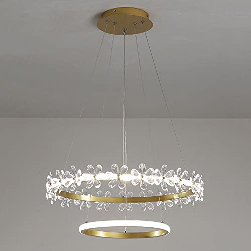 Lampe Suspendu LED Dimmable pour Ambiance Lumineuse Salon et Chambre