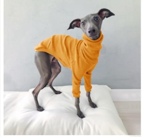 u  XgCv p[X C^O t[X ^[glbN g ybg hbOEFA pR[g p[J[ U AEghA _[NO[ n nClbN uf 2{r  ʗp^Cv K ybgEFA ^ Lk 