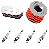 4 bougies d'allumage NGK dr8es