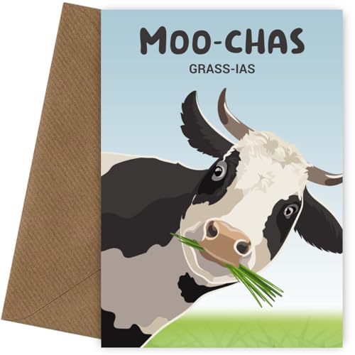 Dankeskarte – Moochas Gracias – Sagen Sie Danke oder Entschuldigung, mit dieser Grußkarte und Dankeskarten, einzeln