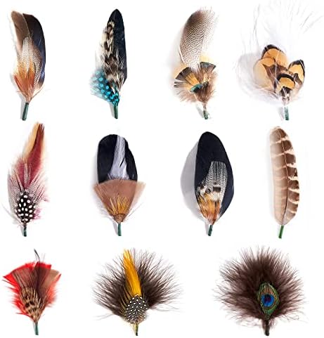 MIX BROWN Hat Feathers, Assorted Natural Feather Packs Accessories for Fedora, Cowboy, Open Road, Borges, Scott, Trilby Hats, 11 Pcs, One size