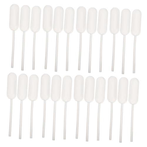 SOLUSTRE Plastic Pipette Droppers 100pcs Liquid Droppers for Fragrances Cosmetics Lab (Clear 4ml)