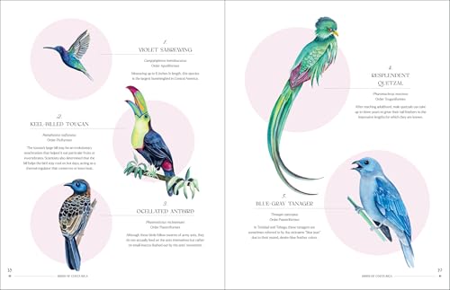 Image of The Illuminated Book of Birds