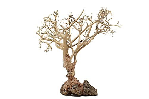 Bonsai Driftwood Aquarium Tree (10 Inch) Natural, Handcrafted Fish Tank