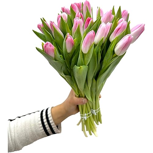 next day delivery 20 yellow tulips fresh cut flowers wheat field bouquet gifts for home decoration birthdays friendship and love pink