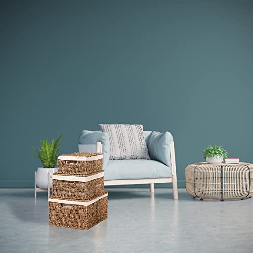 Set Of 3 Rectangular Seagrass Baskets With Lids And Removable Fabric Liners By Trademark Innovations (Small) #TOP4