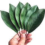 VENCELIN 20Pcs Artificial Magnolia Leaf Fake Green Leaves for Decorate Flower Garland Artificial Mag