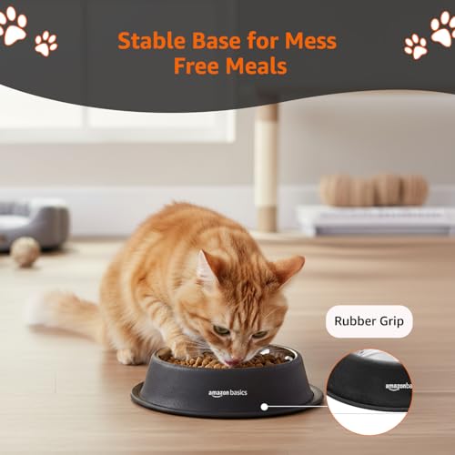 Image of Amazon Basics Stainless Steel Pet Feeding Bowls for Dog & Cats | Anti Slip Base | 2 Pcs Set | Canister & Pet Bowl in Black Color | Canister 1000 ml & Bowl 700 ml