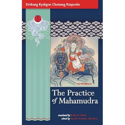 The Practice of Mahamudra